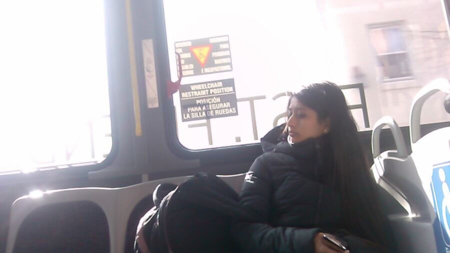 Train ride with a Paki Woman 3 of 44 pics